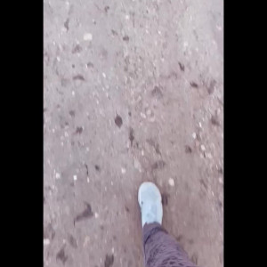 Video by blaueseinhorn published on April 10,2023 23:33:00 - BestThots