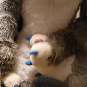 Video by sgtwaflez published on July 7,2023 00:49:00 - BestThots