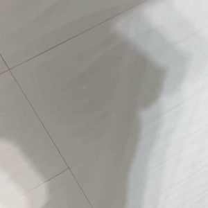 sophiethebody #5785958