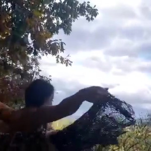 Video by eroicaforest published on August 17,2023 12:50:14 - BestThots