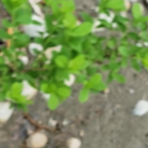 Video by eroicaforest published on August 17,2023 11:59:36 - BestThots