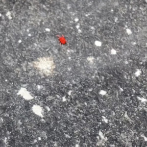 Video by eroicaforest published on August 17,2023 11:53:04 - BestThots