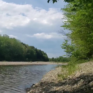 Video by eroicaforest published on August 17,2023 13:41:07 - BestThots