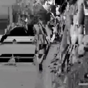 Video by eroicaforest published on August 17,2023 12:38:56 - BestThots