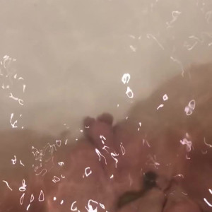 Video by elisarose published on April 9,2023 21:45:00 - BestThots