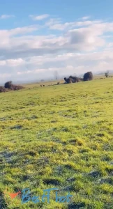 Video by hannahbrooks25 published on January 22,2025 04:01:33 - BestThots