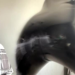 Video by mistressleiaa published on May 24,2023 09:08:00 - BestThots