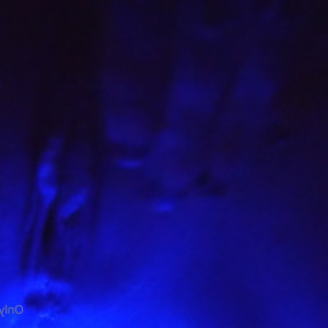 Video by delovelyslut published on July 12,2023 06:40:00 - BestThots