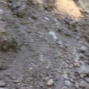 Video by strawberrykisses99 published on July 4,2023 09:44:00 - BestThots