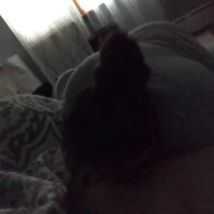 Video by nicoledahlia published on March 30,2023 14:43:00 - BestThots
