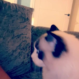 Video by emily_james published on March 22,2023 00:33:00 - BestThots