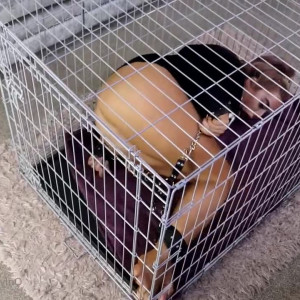 Video by emily_james published on March 25,2023 15:44:00 - BestThots
