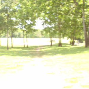 Video by sonia_sparrow published on July 18,2023 14:04:00 - BestThots
