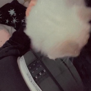 Video by cyberxval published on April 27,2023 14:33:00 - BestThots