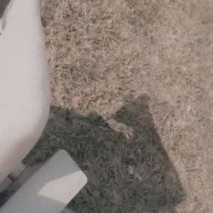 Video by emopink69 published on April 5,2023 14:01:00 - BestThots