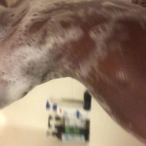 Video by lovelylashe published on October 31,2023 14:28:53 - BestThots