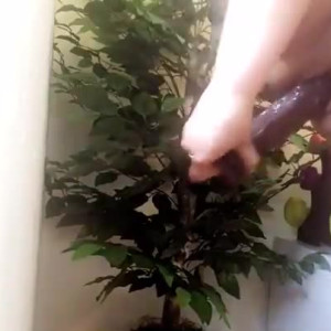 Video by hornythickitten published on May 27,2023 07:38:00 - BestThots