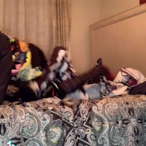 realmilesandgwen #5644537