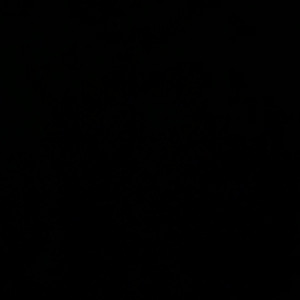 Video by lydiagrey published on August 17,2023 15:27:01 - BestThots