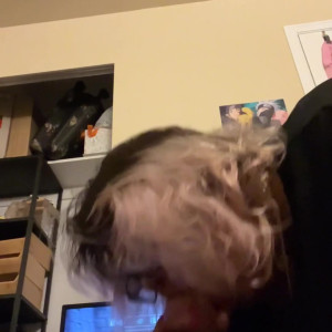 Video by lydiagrey published on August 17,2023 19:15:10 - BestThots