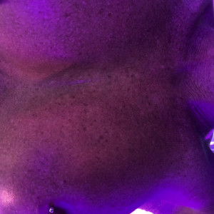 Video by itsmekelli published on August 12,2023 10:51:00 - BestThots