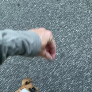 Video by itsmekelli published on March 3,2023 10:33:00 - BestThots