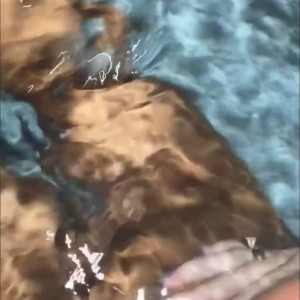 Video by itsmekelli published on July 19,2023 18:35:00 - BestThots