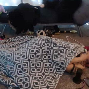Video by omgyoash published on March 22,2023 20:37:00 - BestThots