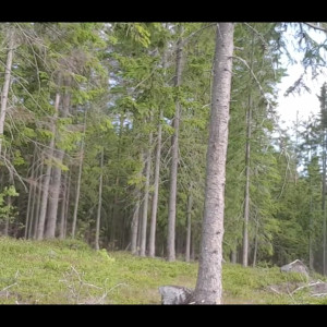 Video by xjaredshaw published on August 17,2023 15:38:52 - BestThots