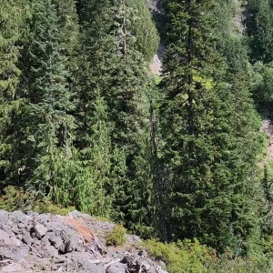 Video by thebrittanyxoxo published on July 19,2023 17:58:00 - BestThots