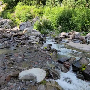 Video by thebrittanyxoxo published on July 20,2023 20:56:00 - BestThots