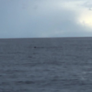 Video by tsnikkiedickie published on June 7,2023 16:32:00 - BestThots