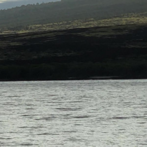 Video by tsnikkiedickie published on July 10,2023 14:23:00 - BestThots