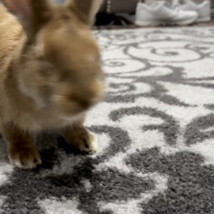 Video by mfccammode1 published on May 9,2023 12:40:00 - BestThots