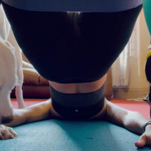 Video by sashabull78 published on June 28,2023 02:36:00 - BestThots