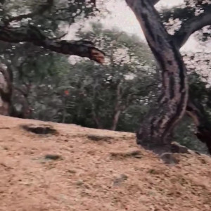 Video by stephinspace published on May 17,2023 03:41:00 - BestThots