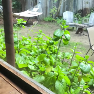 Video by stephinspace published on June 19,2023 05:44:00 - BestThots