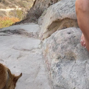 Video by stephinspace published on April 25,2023 09:18:00 - BestThots