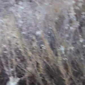 Video by stephinspace published on August 11,2023 11:42:00 - BestThots