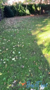 Video by gillellisyoung published on January 21,2025 07:03:25 - BestThots