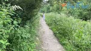 Video by gillellisyoung published on January 21,2025 08:00:05 - BestThots