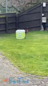 Video by gillellisyoung published on January 21,2025 08:00:11 - BestThots