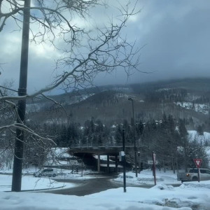 catalinasof #3319966