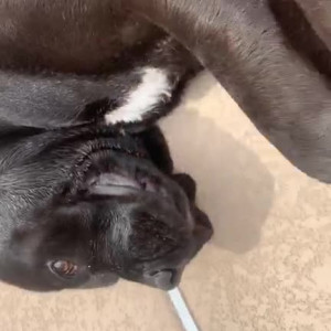 Video by phoenixmarie published on July 6,2023 11:44:00 - BestThots