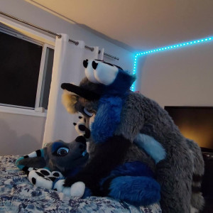 naughtyfluffs #5813255