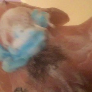 Video by shylajennings published on August 17,2023 19:36:26 - BestThots
