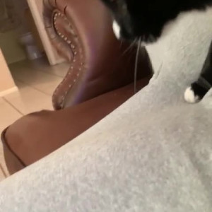 Video by shylajennings published on August 17,2023 17:44:10 - BestThots