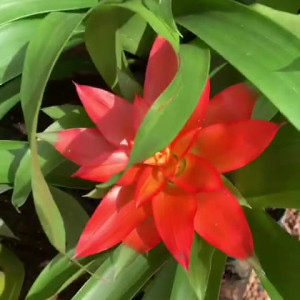 Video by shylajennings published on July 24,2023 21:27:00 - BestThots