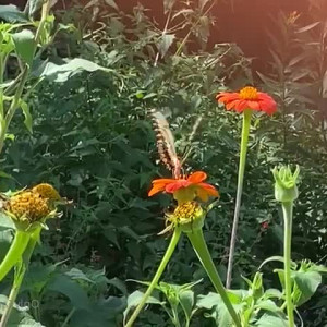 Video by shylajennings published on August 5,2023 05:09:00 - BestThots