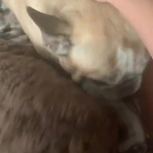 Video by shylajennings published on July 7,2023 06:47:00 - BestThots